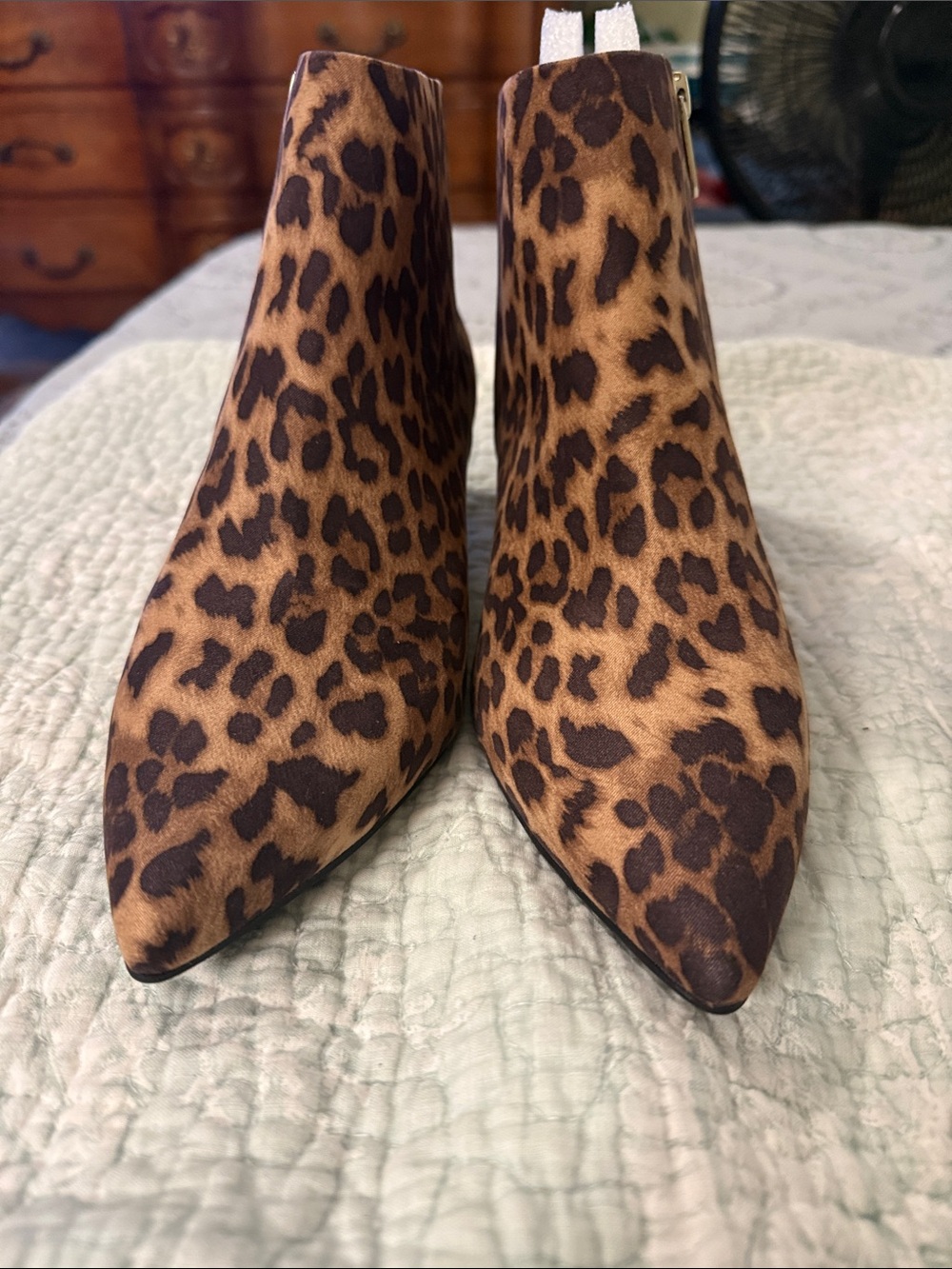 Circo Leopard Print Pointed Toe Ankle Booties - Brown & Black